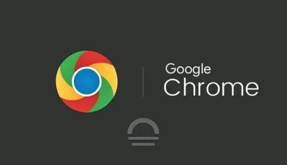 Chrome常用选项