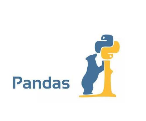 Pandas高频操作技巧